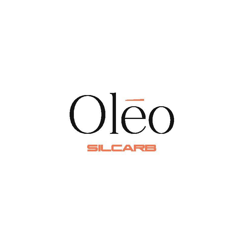 logo-silcarb-orange-fond-blanc-_1_